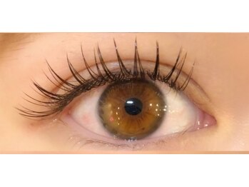 モーブ(mauve)/フラットラッシュ130本