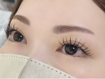 ルピナス 川口(Lupinus)/フラットラッシュ140本