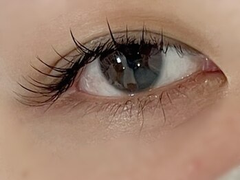 ナカナカ 東中野(naka.naka)/フラットラッシュ100本