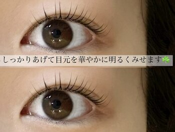 ソート(sot)/パリジェンヌラッシュリフト