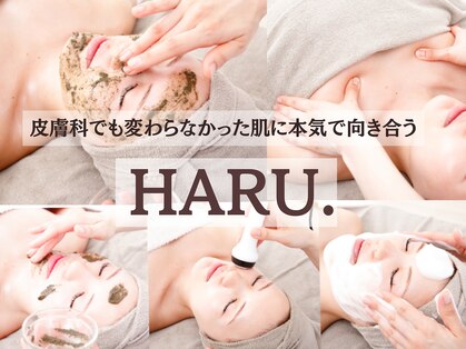 ハル(HARU.)の写真