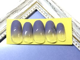 シェルカラグラ☆6,800円