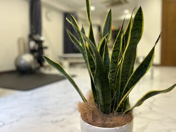 表参道ベストトリート整体 上野入谷院/表参道ベストトリート整体