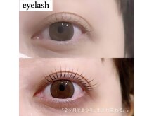 マスタッシュ(MUSTACHE)の雰囲気（ご自宅でのまつ毛ケアの方法もしっかりとお伝えいたします◎）
