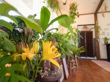 整体療院 おひさま。/