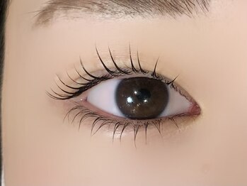 Tidi 豊中庄内店/上下まつげパーマ