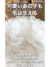 エリス(ELISSE)/フェイシャルワックス