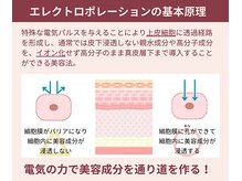 アマテ(Amate)/エレクトロポレーション導入