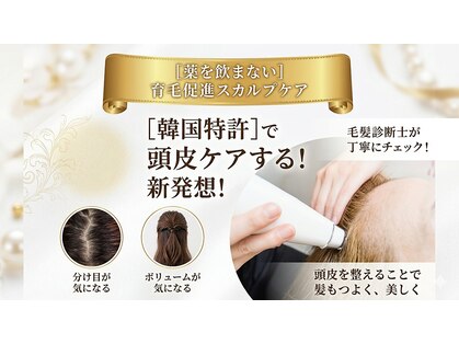 エピベル(Epibelle)の写真