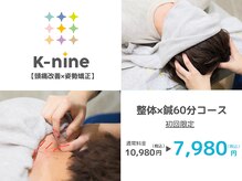 ケーナイン(K-nine)