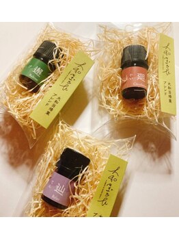 ヒヨリ 大和(Hiyori)/