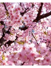 リラクゼーション 櫻&nbsp;ルマ 