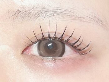 ソニア(Sonia)の写真/トレンドメニューを幅広く取り扱い◎納得の仕上がりを叶えます!!オススメの上下まつ毛パーマで目力アップ♪
