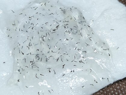 コチカ 恵比寿(KOCKA)の写真