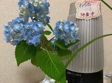 ヨサパーク ローズ 国分寺北口(YOSA PARK ROSE)/◎感染対策強化中◎