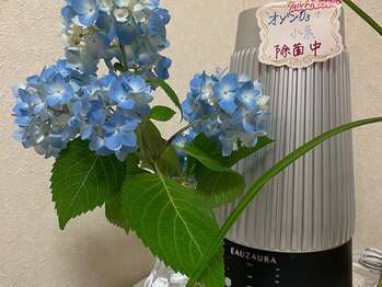 ヨサパーク ローズ 国分寺北口(YOSA PARK ROSE)/◎感染対策強化中◎