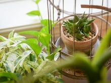 整体療院 おひさま。/