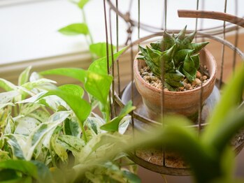 整体療院 おひさま。/