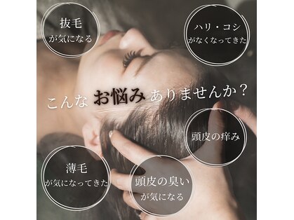 フォルテ(Forte)の写真
