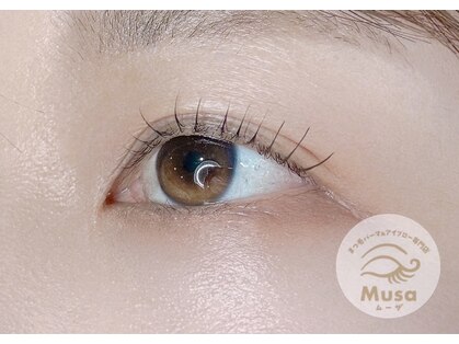 ムーザ(Musa)の写真