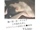 コクア(KOKUA)の写真