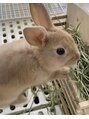 アリエス 上野&nbsp;飼っているうさぎにも癒しをもらっています！