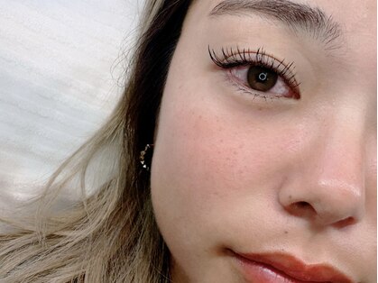 リンド(LINDO)の写真