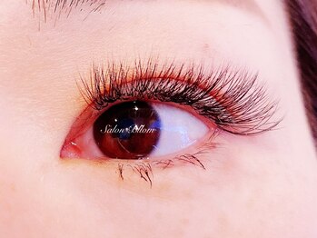 サロン ブルーム(Bloom)/3Dラッシュ 160束