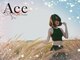 エース(Ace)の写真