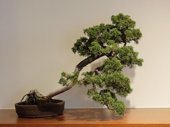 ラブル オモテサンドウ(Lovl Omotesando)/Shop