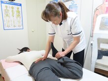 あなたにきく施術院の雰囲気（根本的な原因を探し歪みにアプローチしていきます）