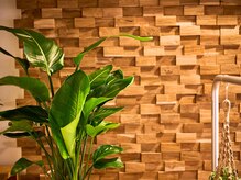 オクタボー 南青山店(OCTAVO)/緑をたくさん置いて癒しの空間に