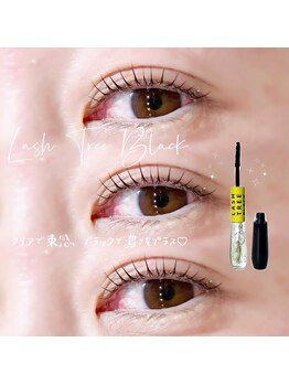 ソワプノン 小牧店(soie punon)/ラッシュツリーブラック♪