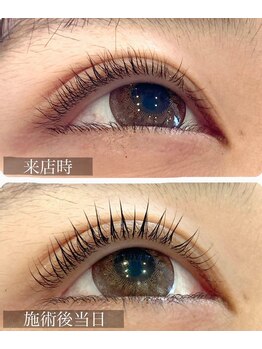 セレンディピティ(Serendipity)/マイラミネーション