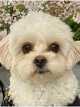 スア(SUA)&nbsp;店長 