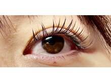 アイラッシュマルヴァ(Eye Lash Malva)/フラットラッシュ