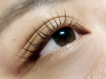 エスーガ(ESUGA)/