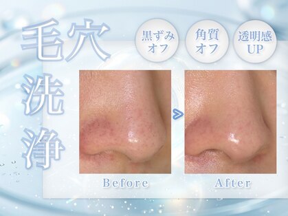 アザレア(Azalea)の写真