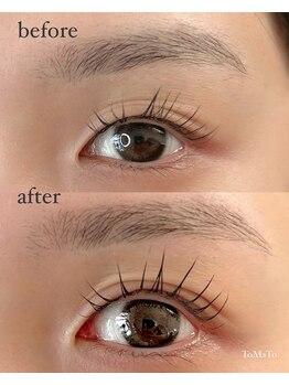 トマト(ToMoTo)/アイブロウ+ラッシュリフト