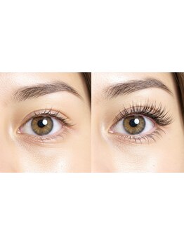 初めての方にオススメ