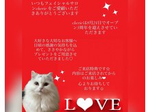 フェイシャルサロン シェリー(cherie)の雰囲気（5周年キャンペーン★ご来店特典オリジナルノベルティプレゼント）