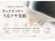セレーノ 白金台(seReno)/【産毛黒ずみケア】潤艶ワックス