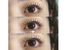 ノラ シブヤ(NORA SHIBUYA)/束感まつ毛