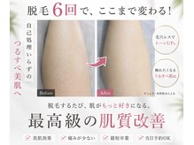 ミーシェ(Meshie)