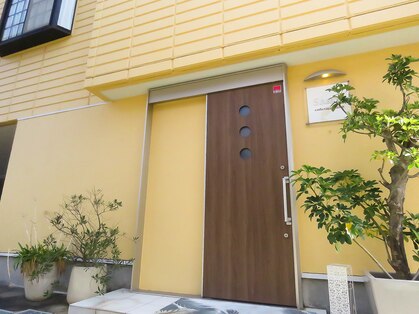 シャンティ(Shanti)の写真
