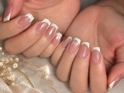 ステラ(Stella)の写真