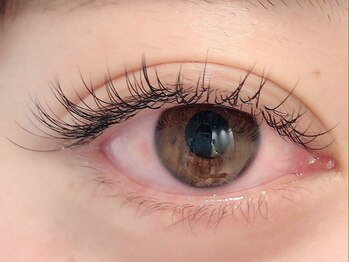 カラン 焼津店(CALIN)/フラットラッシュ140本