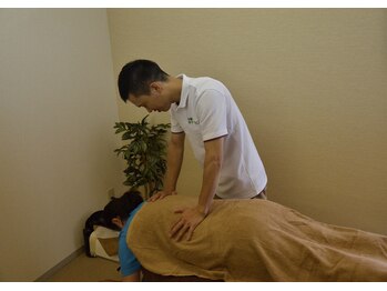 仲町台整体院 シード(Seed)