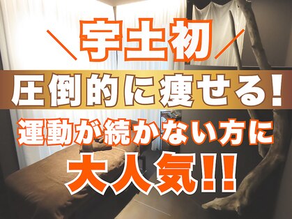 ステラ(Stella)の写真