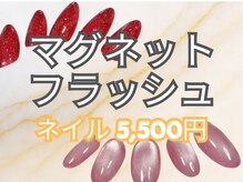 アーユス 健軍店(Ayus)の雰囲気（キラキラが好きな方はフラッシュ！うるつやはマグネットネイル！）